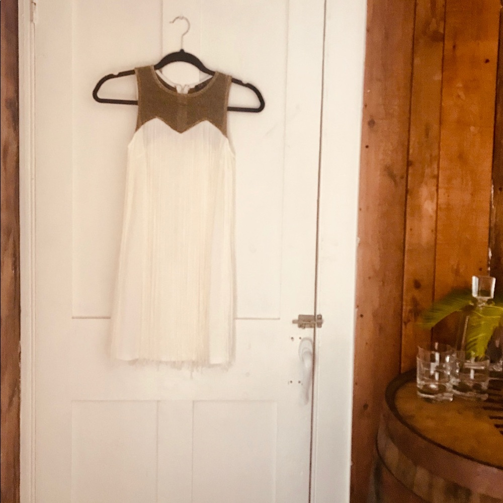 White Flapper Fringe Dress